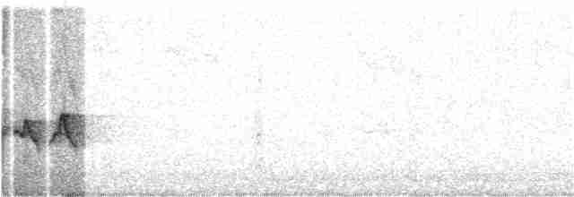 Белокрылая канделита - ML172598241