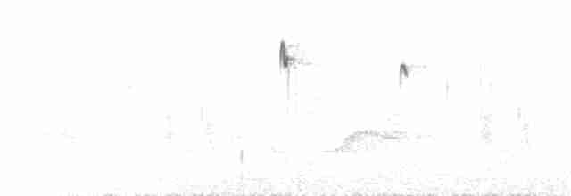 Gri Tepeli Baştankara - ML172624041