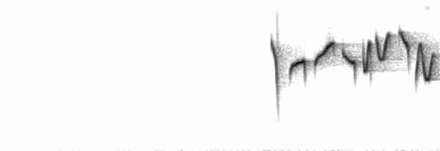 Тимелія-куцохвіст велика (підвид albiventer/pallidior) - ML172624061