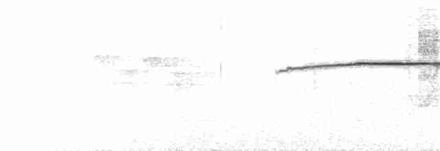 Hume's Bush Warbler - ML172624141