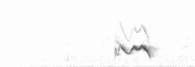 Пестрокрылая кустарница - ML172624191