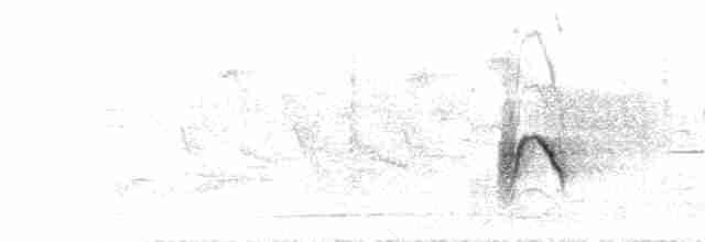 Weißschwanzkleiber - ML172625671