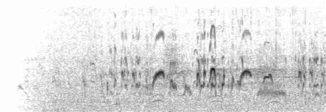 Американский бекасовидный веретенник - ML172652601