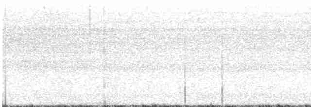 Black-billed Cuckoo - ML172715551