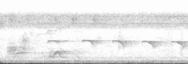 Чернохохлый колючник [группа canadensis] - ML172720