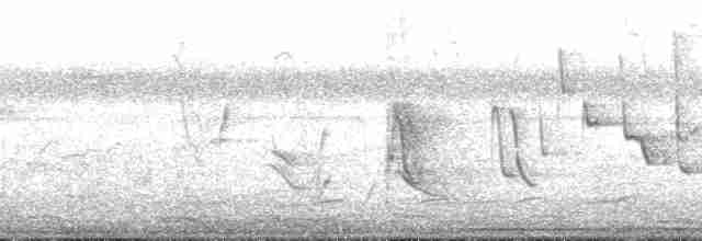 Saltator de l'Orénoque - ML172725