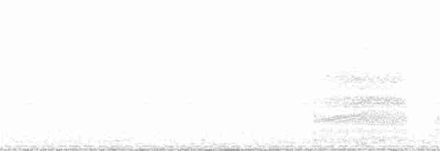ořešník kropenatý [skupina caryocatactes] - ML172727731