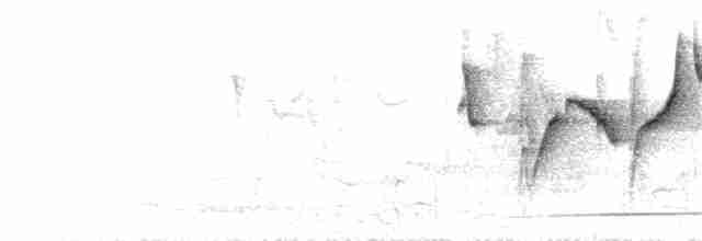 Gray-hooded Warbler - ML172799691