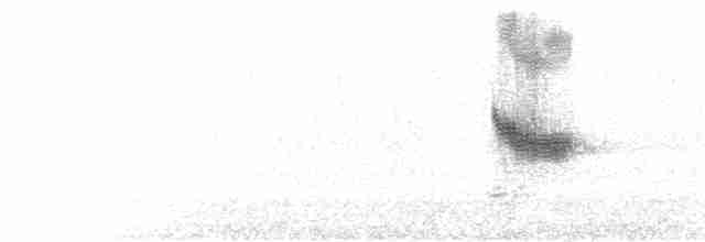 Пятнистая вилохвостка - ML172801861