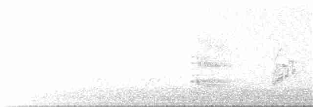 Perruche ondulée (forme domestique) - ML172837111