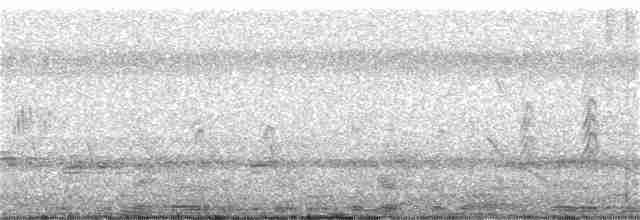 インドチャイロツバメ - ML172864441