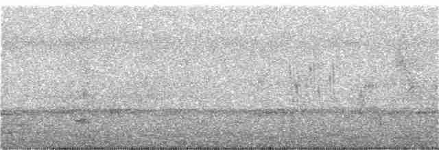 インドチャイロツバメ - ML172864471