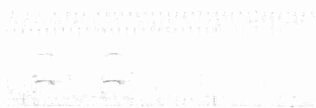 Орлан білоголовий - ML172878041