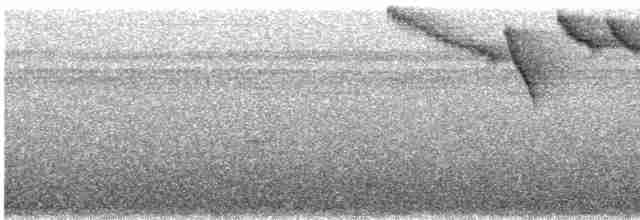 Kupferschattenkolibri - ML172885061