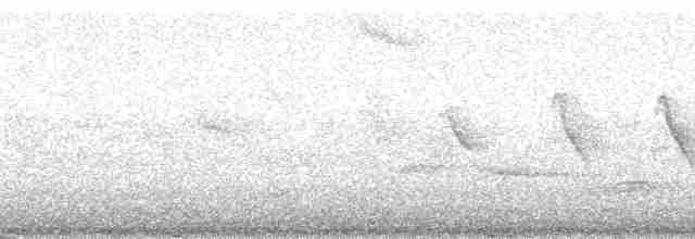 kullkronetanagar (auricularis) (svartkinntanagar) - ML17289