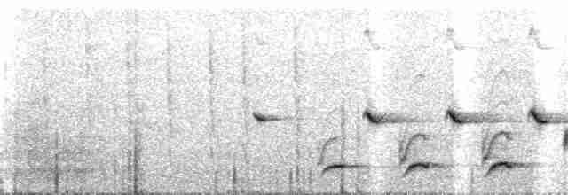 Поплітник коста-риканський - ML173124381