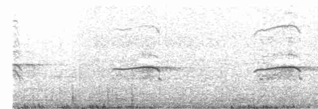 Орлиный канюк (unicinctus) - ML173142661