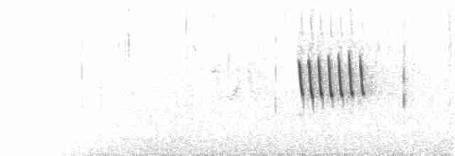 Weißbrauenschnäpper - ML173165971