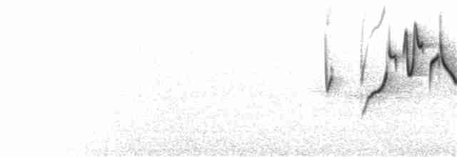 Gray-hooded Warbler - ML173169361