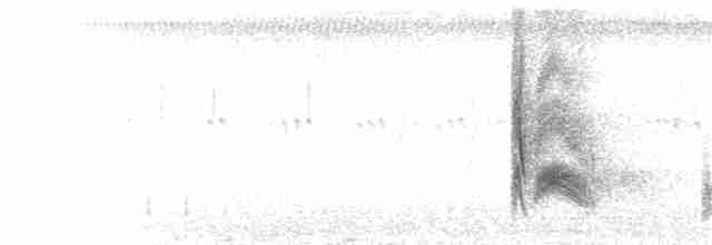 Серогрудый тиранн - ML173202581