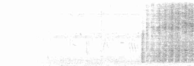 Кактусовый крапивник - ML173236691