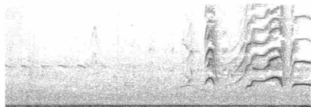 Kara Karınlı Islıkçı Ördek - ML173306951