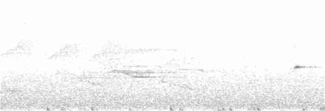 Gray-bellied Tesia - ML173312451