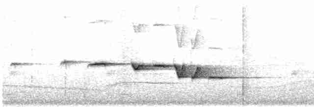 Gray-bellied Tesia - ML173312471