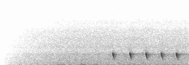Gray Nightjar - ML173360771
