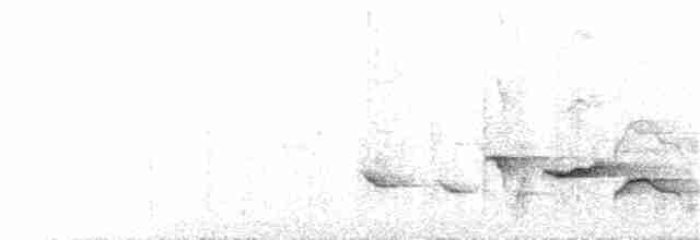 Large Lifou White-eye - ML173402861