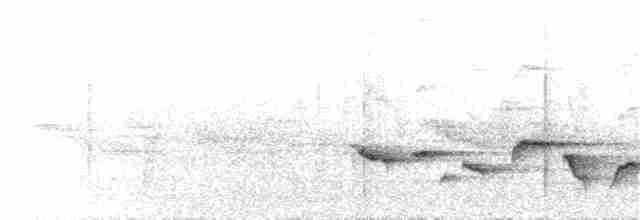 Large Lifou White-eye - ML173402911