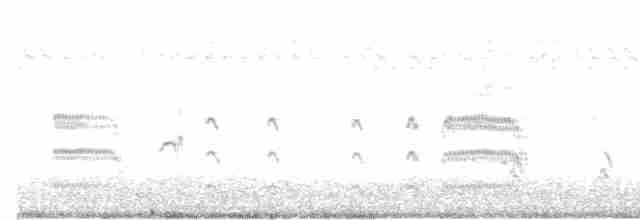 Common Tern - ML173406071