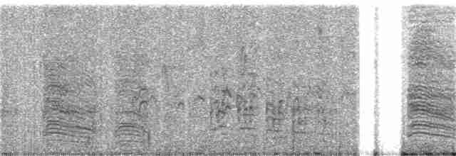 Chara de Beechey - ML173419591