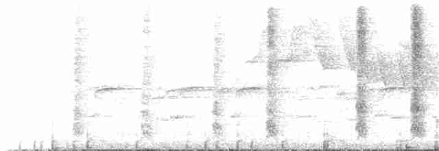 Weißbrust-Spottdrossel - ML173419701