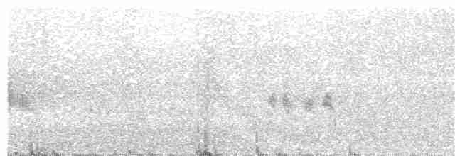 Mirlo Acuático Norteamericano - ML173424201
