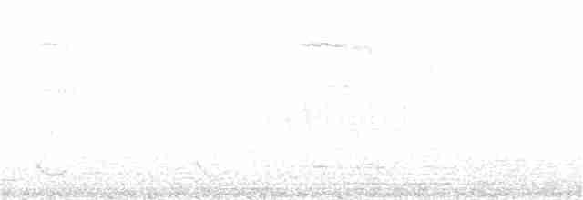 Antillennachtschwalbe - ML173475221