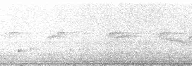 Мурашниця смугаста - ML17352
