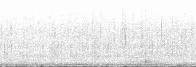 Очковая хвойница - ML173596