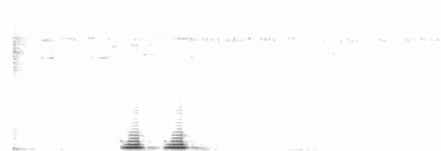 Улит-отшельник (solitaria) - ML173658331