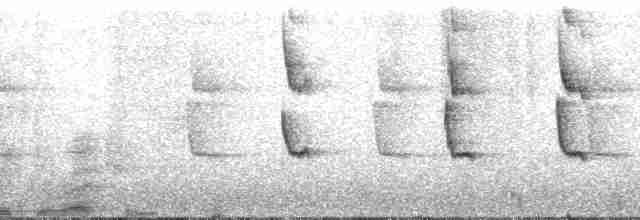 Ерміт південний (підвид griseoventer) - ML173698