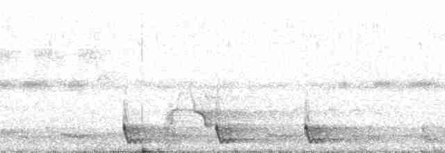 Large-tailed Nightjar - ML173701