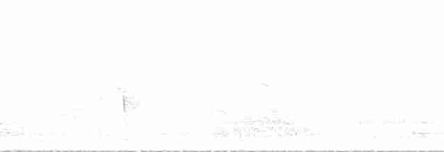 Büyük Karatüfek - ML173706