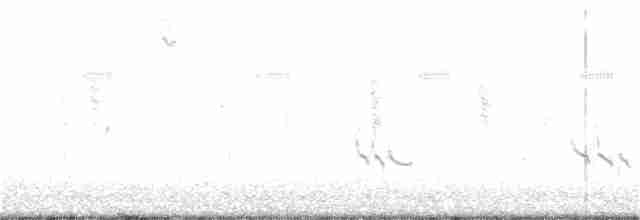 Короткоклювый бекасовидный веретенник - ML173716431