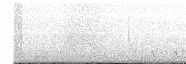 Cuitlacoche Ocelado - ML173719821