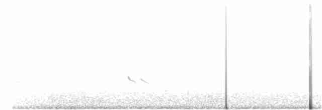 Короткоклювый бекасовидный веретенник - ML173729181