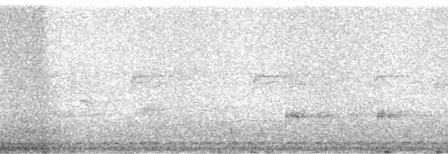 Мурашниця смугаста - ML17375