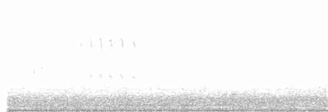Chevêchette australe - ML173775491