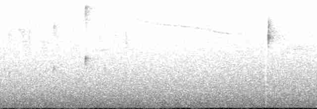 Violet-throated Starfrontlet (Apurimac) - ML173811