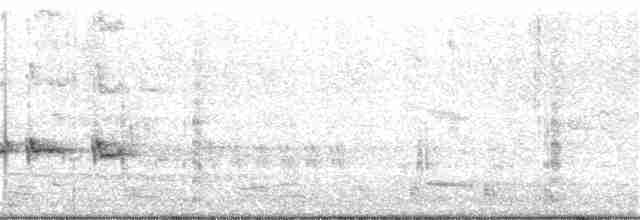 Australian Reed Warbler - ML173816421