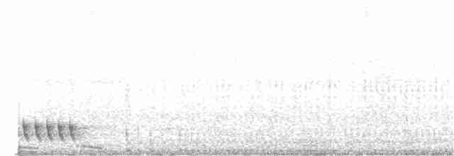 Madagaskarnachtschwalbe - ML173827541